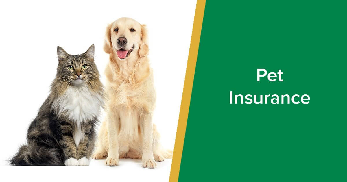 Best Pet Insurance